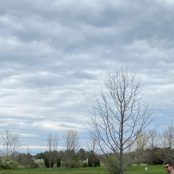 Meet your Posher, Haneen - Picture 1 of 1